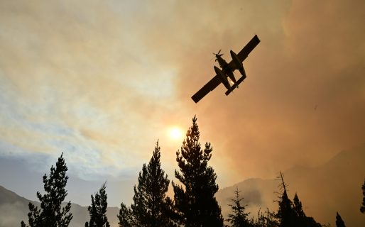 Diaz Mayer: “Sí se comprueba que hubo delito doloso, el responsable de iniciar los incendios podría recibir hasta 20 años de prisión”