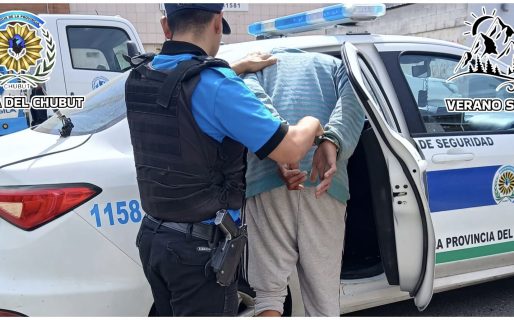 Salió a comprar, volvió y encontró a un ladrón en el patio de su casa: lo retuvo hasta la llegada de la Policía