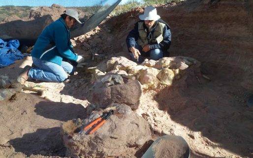 Científicos del Conicet descubrieron un dinosaurio gigante en Neuquén: medía entre 10 y 12 metros de largo
