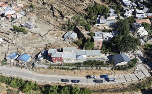 Buscan hogar de tránsito para cinco perros de una familia evacuada