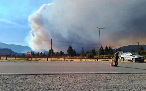 <strong>El Gobierno vincula los incendios forestales a la existencia de grupos autoproclamados mapuches</strong>
