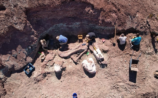 Provincia acompaña una nueva campaña paleontológica que fortalece el conocimiento científico y el patrimonio chubutense