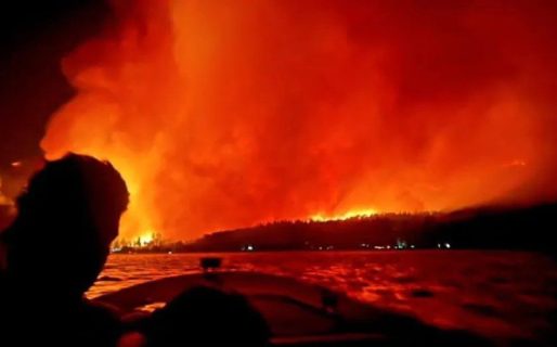 El incendio continúa activo y afecta al bosque nativo e implantado