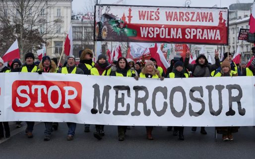 Acuerdo entre la Unión Europea y el Mercosur: los argumentos de los cinco países que votaron en contra