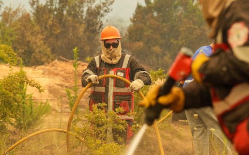 Más de 560 personas combaten el incendio en Puerto Patriada y el fuego ya afectó casi 12 mil hectáreas