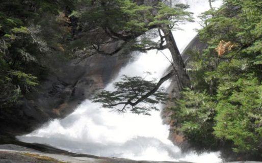 Tragedia en Bariloche: una turista murió tras arrojarse por una cascada en un lugar no autorizado