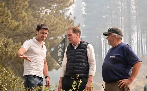 Torres anunció una recompensa de 50 millones para dar con los responsables de los incendios forestales en la Cordillera 