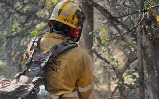 Incendio en el Parque Nacional: bomberos voluntarios de Chile se suman a los más de 500 brigadistas provinciales y nacionales