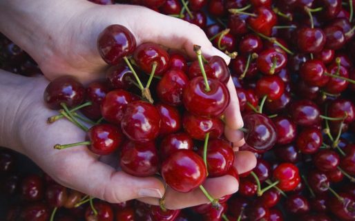 Gaiman recibe el 2026 con una nueva edición de la Fiesta de la Cereza