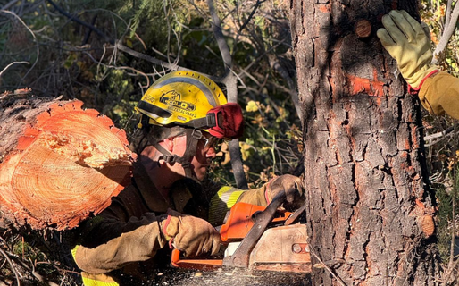 Puerto Patriada: contuvieron el incendio tras afectar 14.770 hectáreas