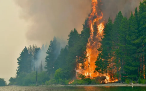 Evacúan zonas de Epuyén por incendio forestal