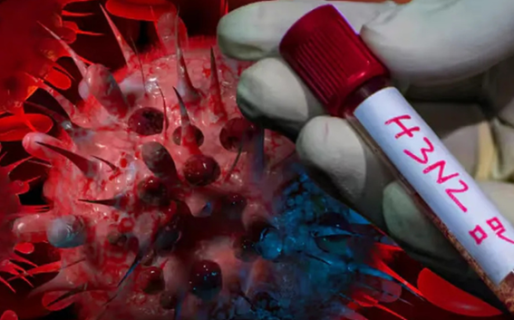 Gripe H3N2: confirmaron la primera muerte en la Argentina tras un caso detectado en Mendoza