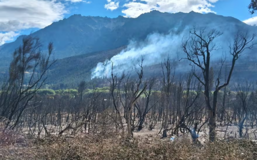 «Descartado totalmente»: un fiscal rechazó las versiones sobre mapuches e israelíes en el incendio