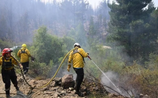 Incendio en Puerto Patriada: el operativo logró contener el 85% del fuego aunque el foco sigue activo