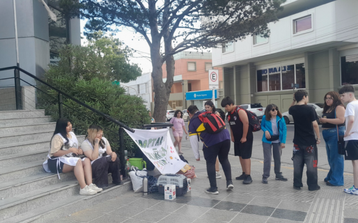 Invitan a sumarse como voluntario en las jornadas de adopción de «Ayuda a un callejero»