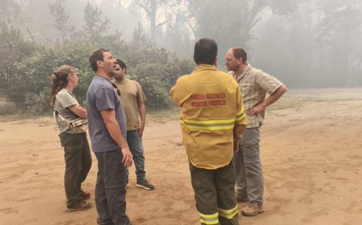 Luque: «En el Parque Nacional Los Alerces el panorama es desolador»