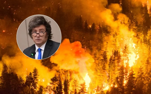 Nación adelantó que se firmará la Emergencia Ígnea para Chubut, Río Negro, Neuquén y La Pampa