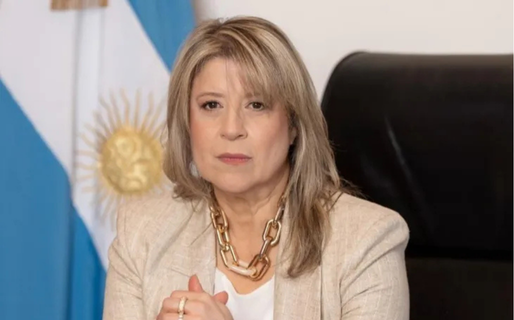 «Vamos con toda nuestra fuerza contra aquellos que incendian nuestro país»