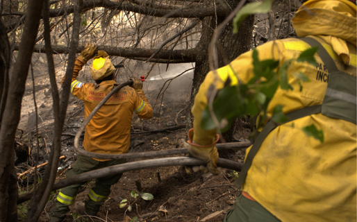 El viento complica el combate del incendio en el Parque Nacional Los Alerces