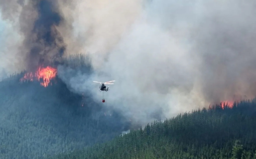 Puerto Patriada: el incendio se encuentra contenido en un 85% y refuerzan los trabajos de enfriamiento