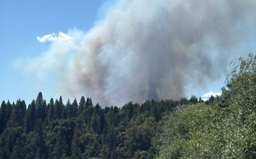 Cierre preventivo y evacuación en Puerto Patriada por un incendio forestal