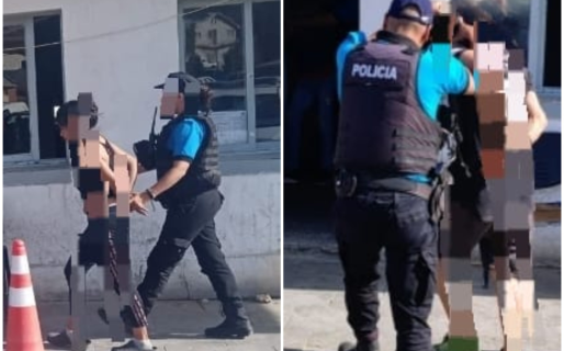 Entraron a robar a una casa, dejaron a una amiga de campana y los descubrieron a todos