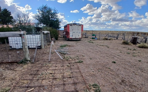 Un joven de 22 años fue aplastado por su caballo, sufrió una fractura de cráneo y tuvieron que reanimarlo