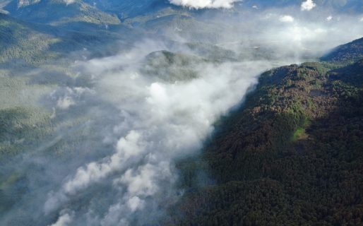 Los Alerces: Continúa la movilización permanente de brigadistas y medios aéreos en los sectores activos