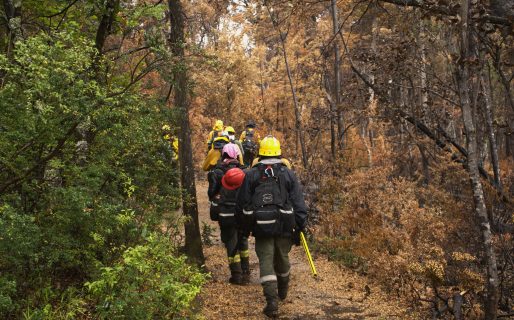 Los Alerces: la lluvia trae alivio y abre una ventana de oportunidad para el combate