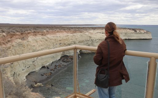 El Gobierno del Chubut y Puerto Madryn afianzan la gestión en Punta Loma y proyectan nuevos servicios