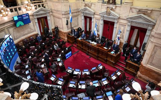 El Senado convirtió en ley el Régimen Penal Juvenil: la edad de imputabilidad baja a 14 años