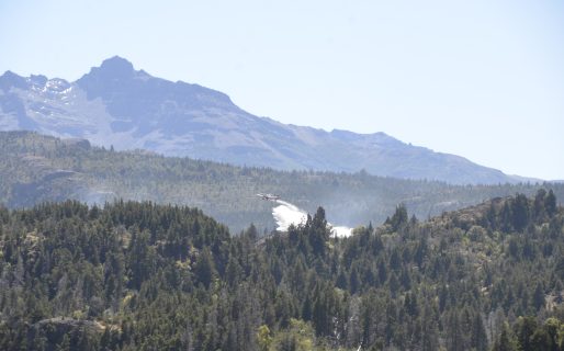 Habilitan servicios turísticos en Los Alerces bajo estrictas medidas de precaución y seguridad