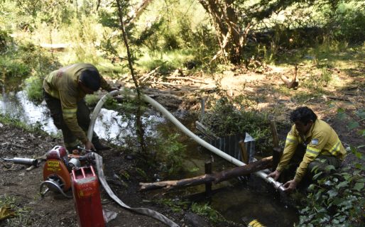 Parque Nacional Los Alerces: El viento intenso complica el operativo y reactiva focos en la zona
