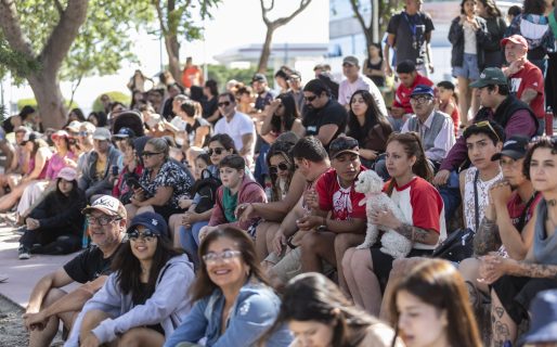 Conocé el cronograma completo de actividades culturales para la segunda quincena de febrero