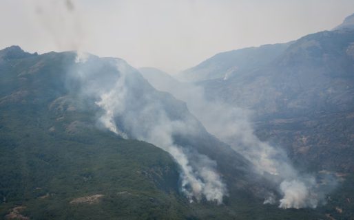 Se intensifica el fuego en Los Alerces y hay focos en otros tres parques nacionales