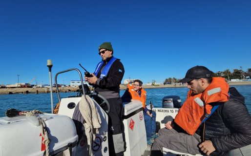 Se formaliza el Estudio de Impacto Ambiental para el Avistaje Embarcado de Ballenas Sei