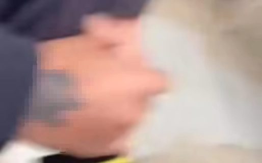 «¿Por una gata me vas a pegar un tiro?»: un adolescente amenazó a otro con un revólver y lo grabó