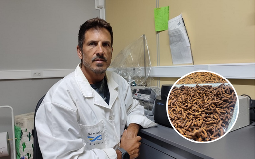 Buscan transformar las cabezas de langostino en un alimento de alto valor nutricional