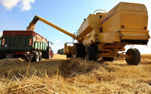 La economía creció 4,4% en 2025: en diciembre trepó fuerte, impulsada por el agro