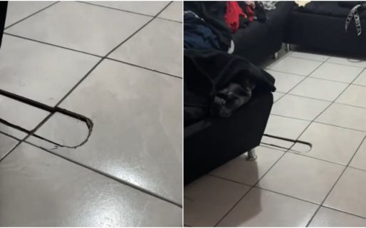 Captó el momento en que un «fantasma» levantó el piso del comedor de su casa: «Si no lo grabo, no me creerían»