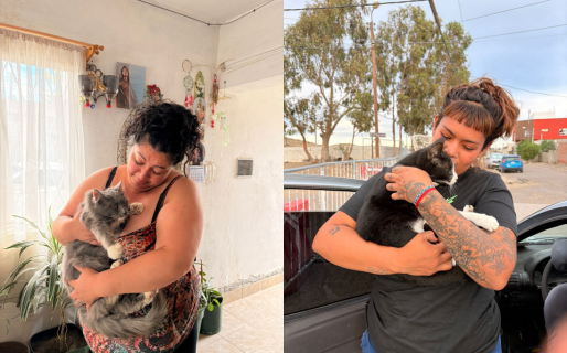 Vecinos del barrio Sismográfica se reencontraron con sus mascotas