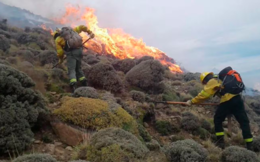 El Gobierno incluyó a Santa Cruz en la emergencia por los incendios forestales