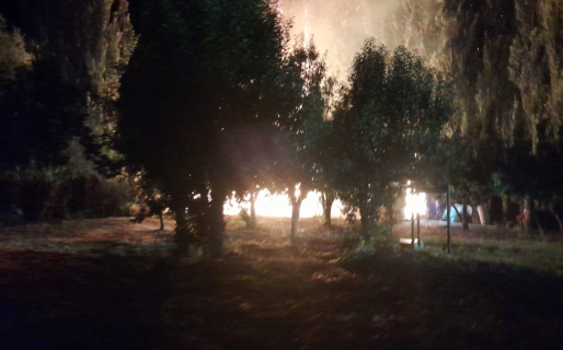 Incendio de pastizales y árboles en chacra sobre Ruta Provincial 270