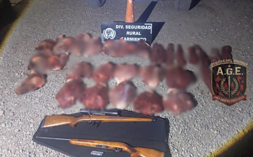 Sarmiento: incautan armas y carne de guanaco en un control vial