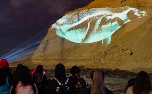 La restinga fue escenario de una experiencia artística inédita frente al mar