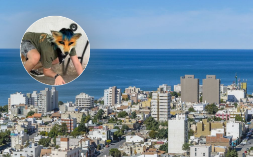 ¿Hubo una «Juntada Therian» en Comodoro? El posteo que despertó sospechas