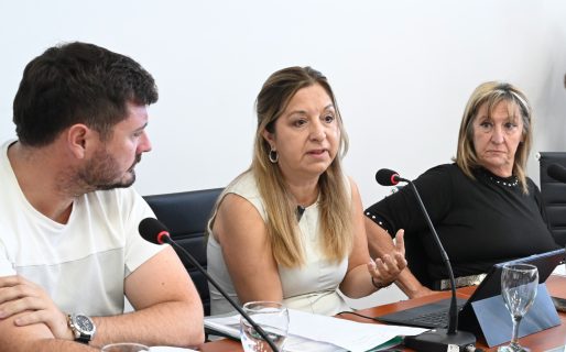 Diputados analizaron con autoridades judiciales y policiales el proyecto de ley sobre prohibición del uso de celulares en las cárceles
