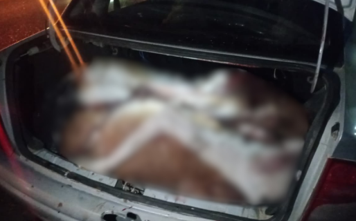 Un hombre transportaba dos piezas de guanaco faenado en el ingreso a Los Arenales
