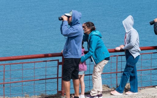 Rada Tilly inauguró la Temporada 2026 de la ballena sei en Punta Marqués