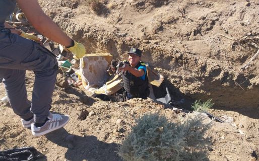 Rescataron a dos perritas abandonadas junto a seis cachorros y piden ayuda para afrontar una castración